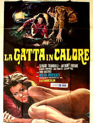 La gatta in calore di Nello Rossati  – Italia – 1971 – Durata 89’- V.M 18
