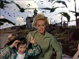 Gli uccelli (The Birds) di Alfred Hitchcock – USA – 1963 – Durata 120’ – V.M 14