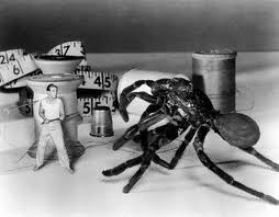 Radiazione BX: distruzione uomo di Jack Arnold – USA – 1957 . B/N