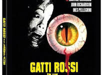 Gatti rossi in un labirinto di vetro di Umberto Lenzi – 1974
