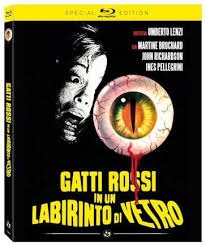 Gatti rossi in un labirinto di vetro di Umberto Lenzi – 1974