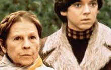 Harold e Maude di  Hal Ashby – USA – 1971