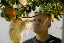 Le mele di Adamo (Adams aebler) di Anders Thomas Jensen – Danimarca – 2005 – Durata 94’