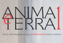 “Carl Gustav e Sabina; Prendimi l’anima, storia di una segreta simmetria” (con Roberto Faenza) Rivista “Anima e Terra”- Falsopiano Editore – 2012