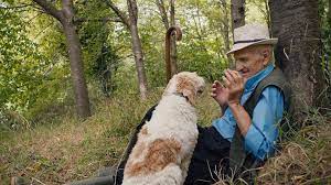 The truffle hunters di Luca Guadagnino – Italia – 2020 – Durata 84′