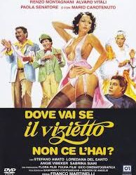 Dove vai se il vizietto non ce l’hai? di Franco Martinelli (Marino Girolami) – Italia – 1978 –  Durata 87’ – VM 14