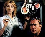 Il gatto di Luigi Comencini – Italia – 1977