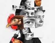 Ignazio Senatore intervista Antonietta De Lillo: “L’occhio della gallina”